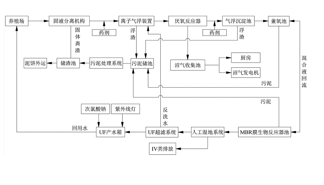 農村養(yǎng)殖戶如何低成本有效處理污水，這兩種做法你應該知道!02